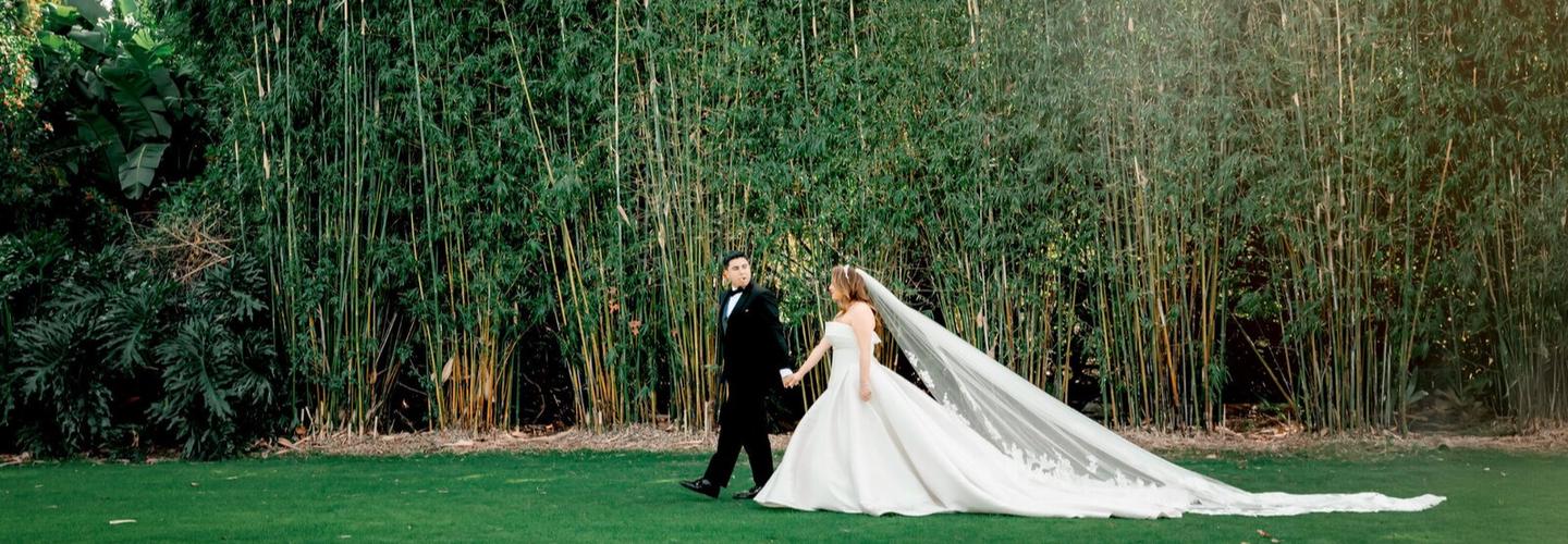 Bella Grey Photography & Studio cover photo