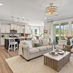 Homecoming by True Homes - photo 1
