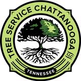 Chattanooga Tree Service, LLC - Tree Services in Chattanooga