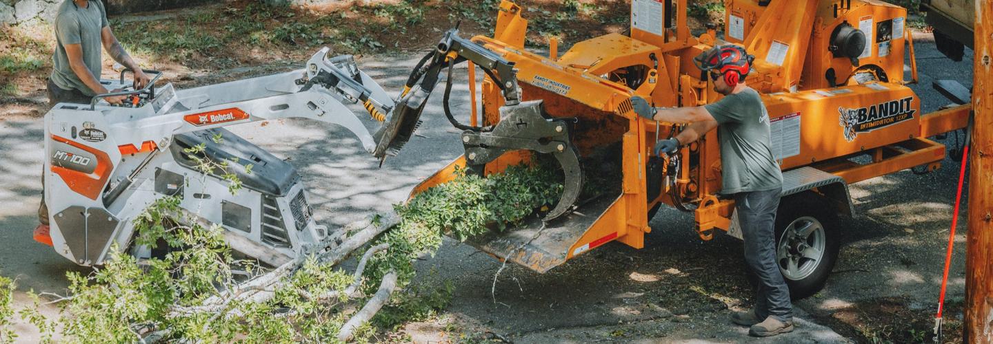 Chattanooga Tree Service, LLC cover photo