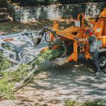 Chattanooga Tree Service, LLC - photo 1