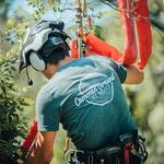 Chattanooga Tree Service, LLC - photo 3