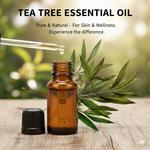 Divisha Naturals Flavours And Fragrances Exports - photo 3