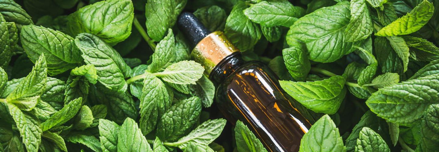 Divisha Naturals Flavours And Fragrances Exports cover photo