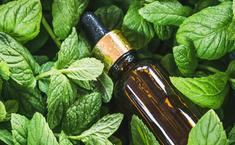 Divisha Naturals Flavours And Fragrances Exports - Manufacturer