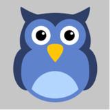 Scale Owl Dumpster Rental - Dumpster Rental in Mississauga