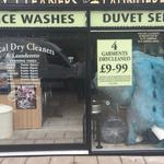 Redwood Shopfront - photo 10