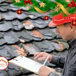 Golden Hatchet Roofing Remodeling & Siding LLC - photo 8