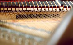 Philip's Piano Academy - Music Teachers & Music Lessons