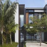 Popov Bass - photo 2