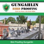 Gungahlin Bird Proofing - photo 2