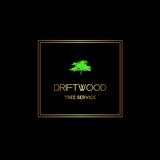 Driftwood Tree Service - Tree Services in Fort Erie
