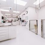 Rancho Bernardo Pet Hospital - photo 3