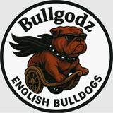 BullGodz HQ - Business Consulting in Fort White