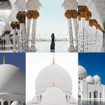 Desert Birds Tourism LLC - photo 3