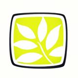 Northeast Georgia Plastic Surgery