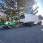 Roots Up Tree Company - photo 4