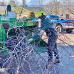 Roots Up Tree Company - photo 5