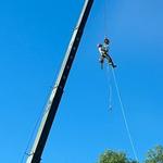 Roots Up Tree Company - photo 7