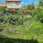 Roots Up Tree Company - photo 9