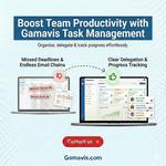 Gamavis Softech LLP - photo 5