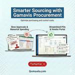 Gamavis Softech LLP - photo 6