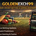 Top Cricket Ids - photo 3