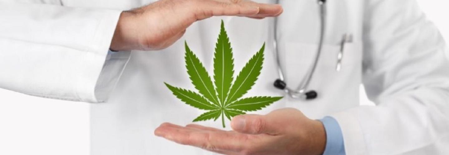 Australia Pot cover photo