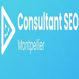 Consultant SEO Montpellier / Référencement naturel | Diaz Lény