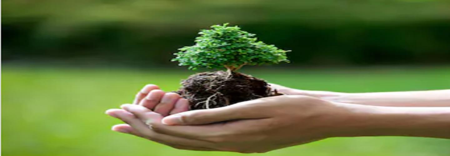 CMT Tree Service cover photo