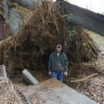 CMT Tree Service - photo 2