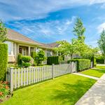 CMT Tree Service - photo 9