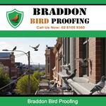 Braddon Bird Proofing - photo 1