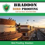 Braddon Bird Proofing - photo 2