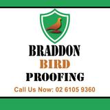 Braddon Bird Proofing - Pest Control in Braddon