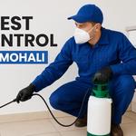 Sunshine Pest Control Pvt.ltd - photo 1