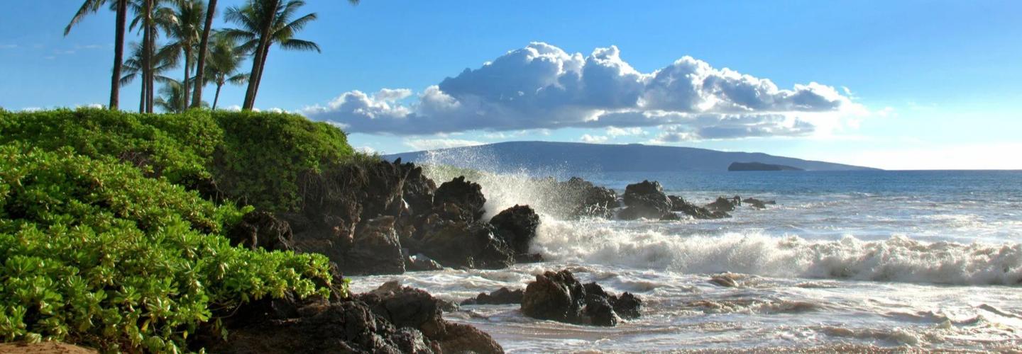 Maui Paradise Properties LLC cover photo