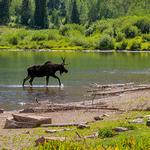 Engel & Volkers Pagosa Springs - photo 2