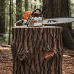 Royal Edger & Mower - photo 4