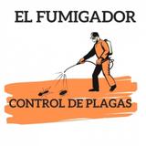 EL FUMIGADOR Control de Plagas Marbella - Pest Control in Malaga
