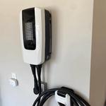 Mister Sparky of Toledo - photo 3