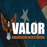 Valor Bioremediation and Restoration Inc. - Air, Water or Soil Testing Kits in Loxahatchee