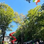 Tree Fellas - photo 1