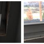 Fibrenew St. Clair - photo 6