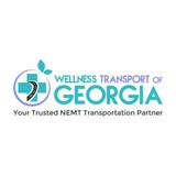 Wellness Transport Of Georgia - Ambulance Services in Johns Creek