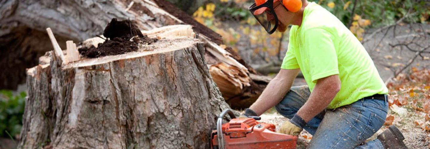 TLC Tree & Landscaping Care cover photo