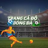 Trangcadobongdauknet - Bus and Coach Tours in Ho Chi Minh City