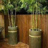 Good Wood Carpentry - Home Developers in Singapore