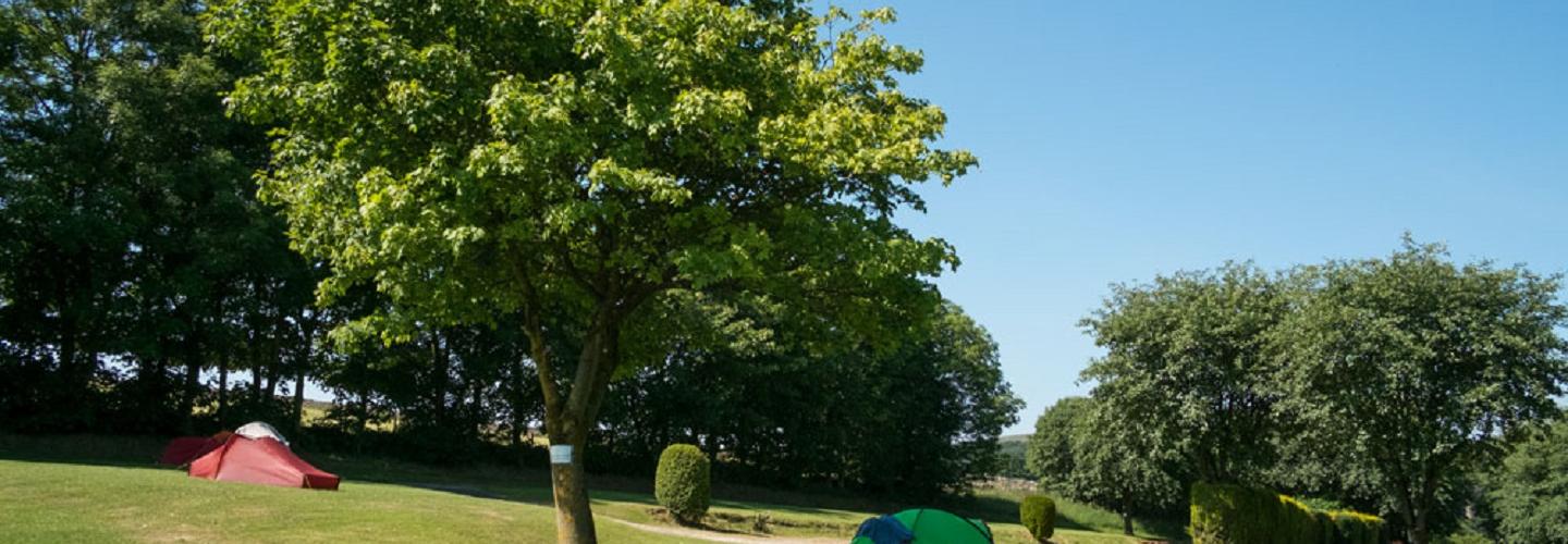 Lime Tree Holiday Park cover photo