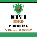 Downer Bird Proofing - Pest Control in Downer